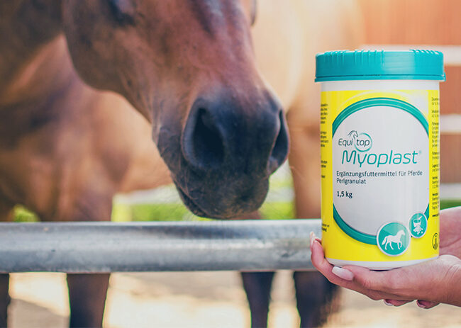 Produkttest: Equitop Myoplast 2021