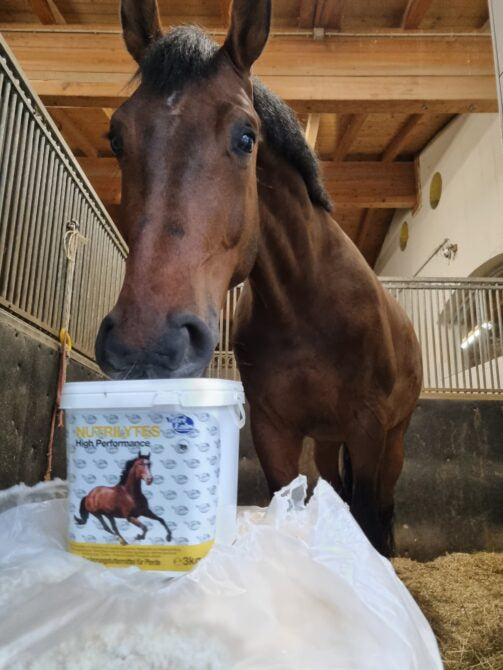 Produkttest 2023: NutriLabs Nutrilytes High Performance