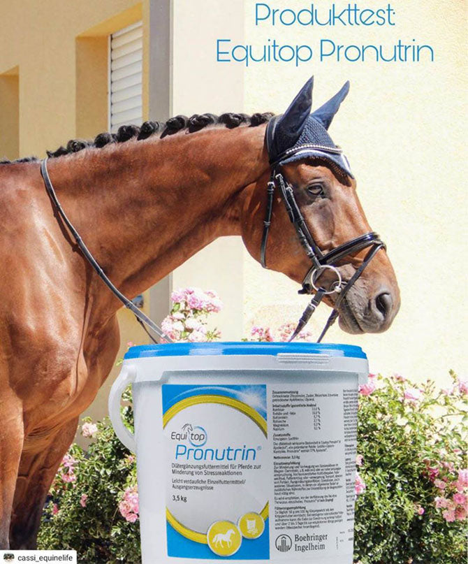Produkttest: Equitop Pronutrin 2020