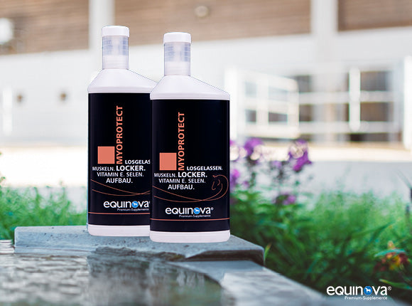 equinova Myoprotect Liquid
