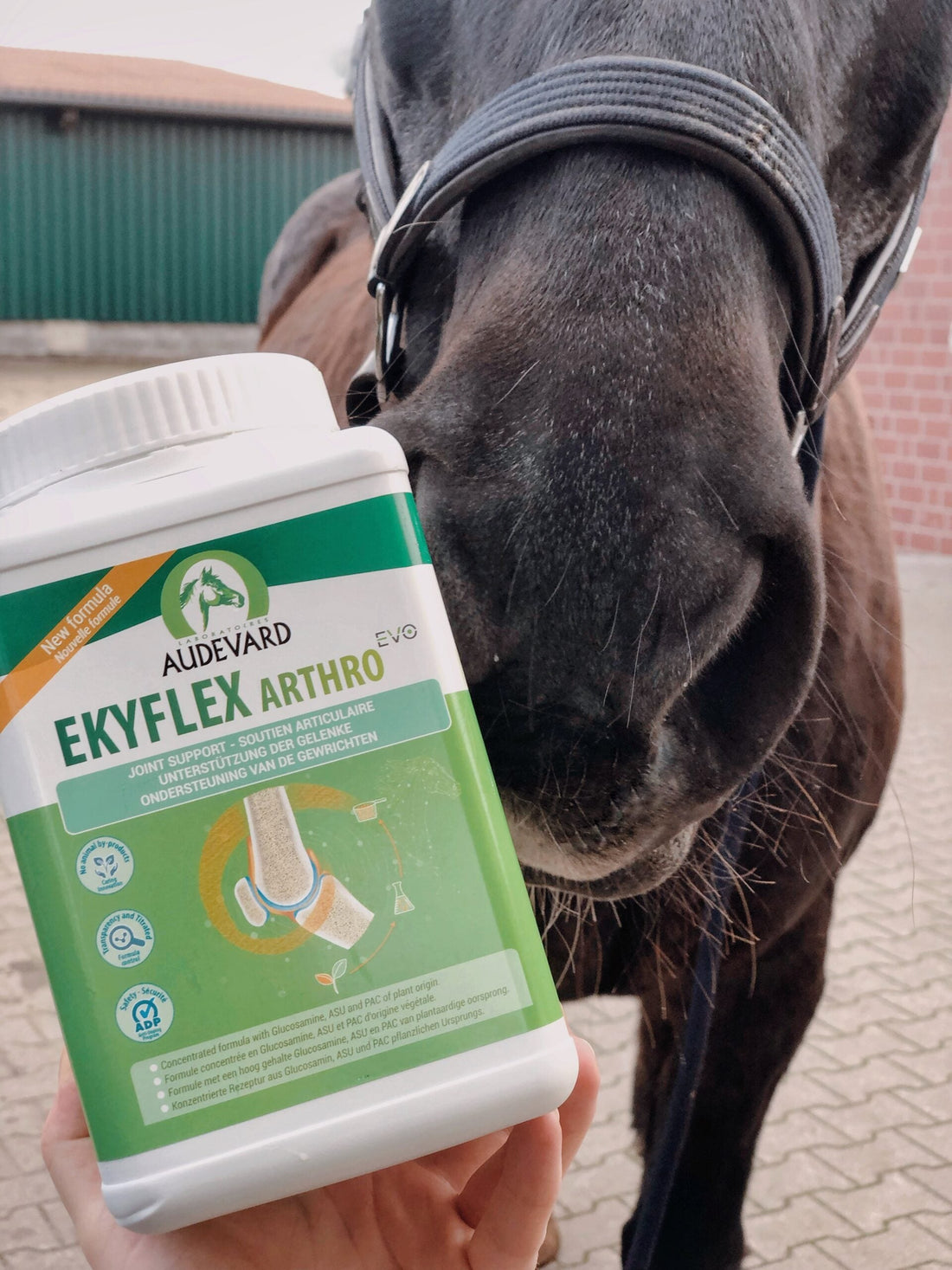 Produkttest: EKYFLEX ARTHRO EVO 2021