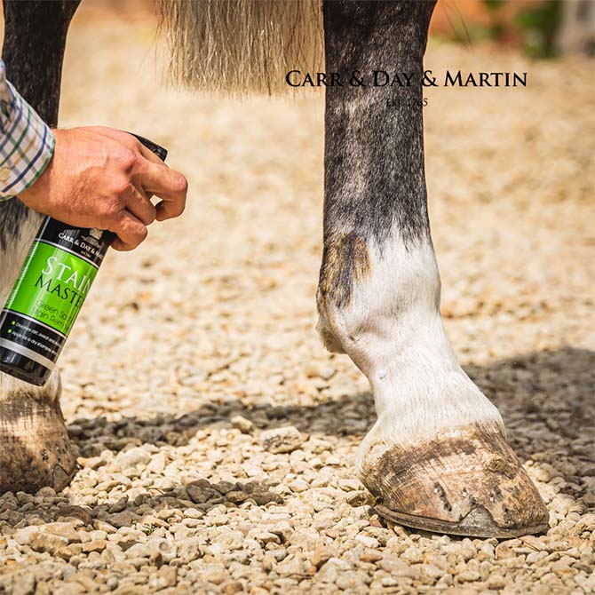 Gras- und Mistflecken? – Kein Problem!