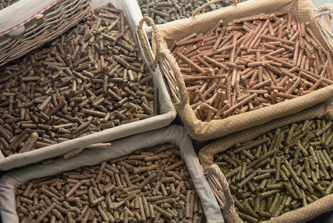 Große Vielfalt an Pferdefutter für Futterumstellung