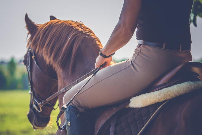 Reiter auf Pferd