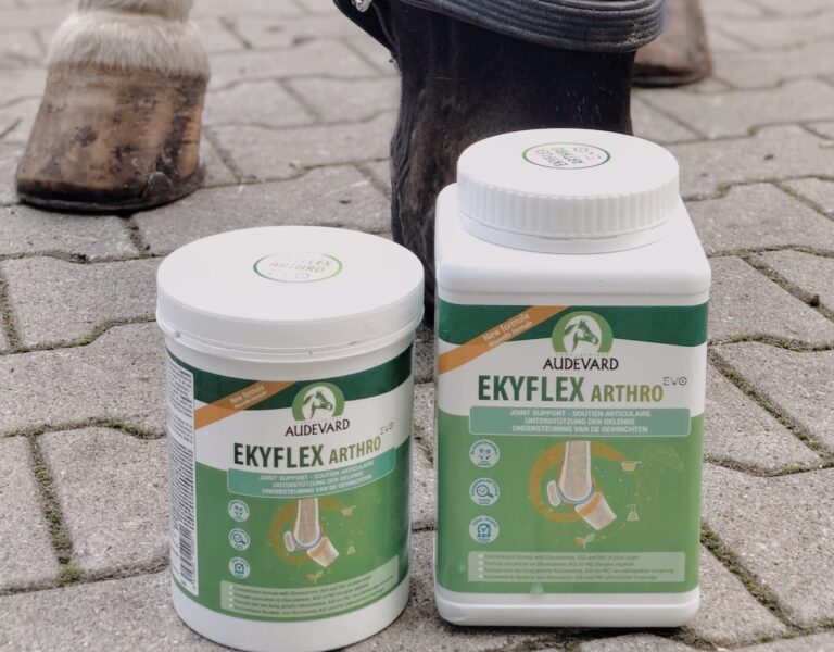 Produkttest 2022: Ekyflex Arthro EVO