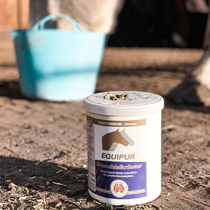 EQUIPUR – Bronchialkräuter