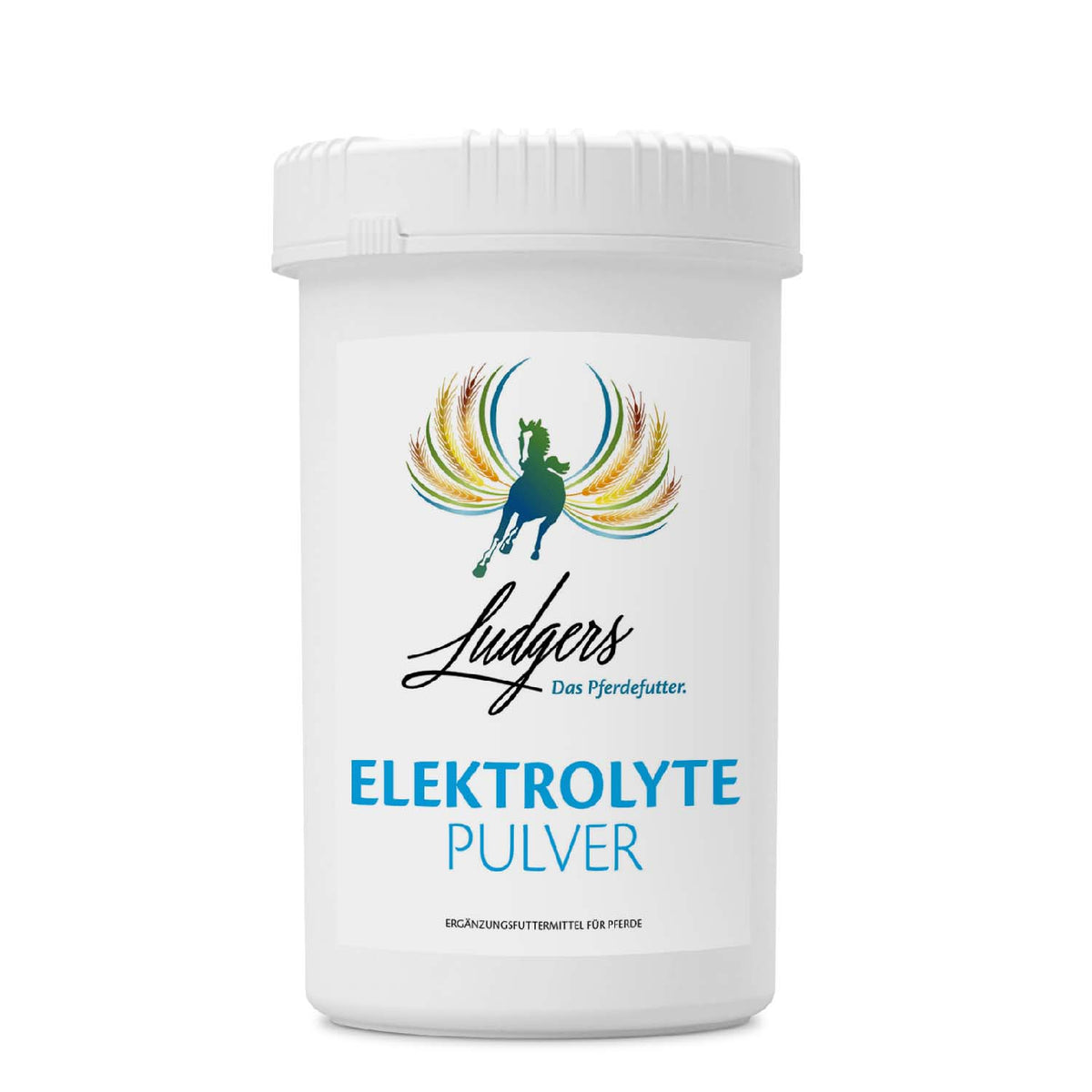 Ludgers Elektrolyte Pulver 2,2 kg