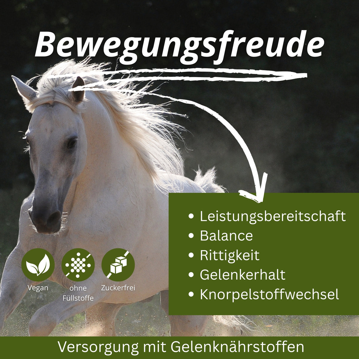 11299 – Bild 2