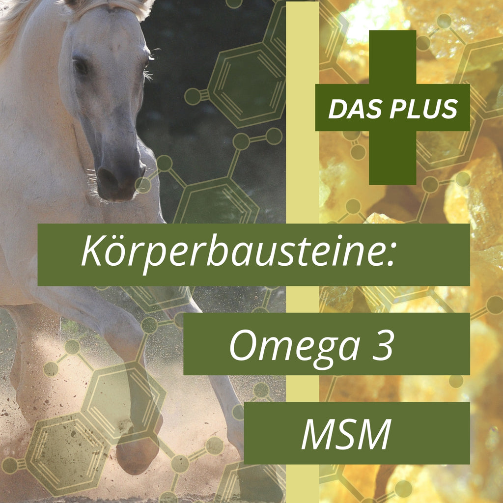 11299 – Bild 3