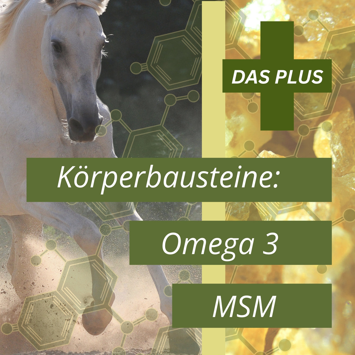11299 – Bild 3