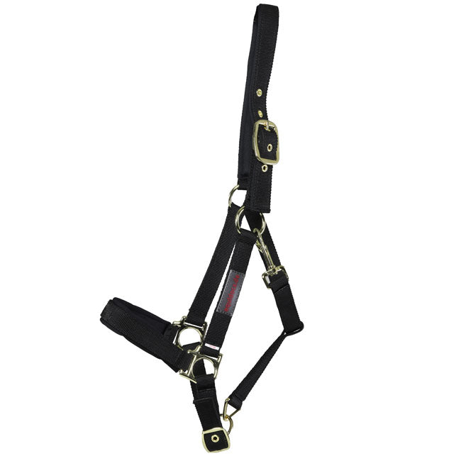 Equidocs Nylonhalfter Schwarz Gr. Full