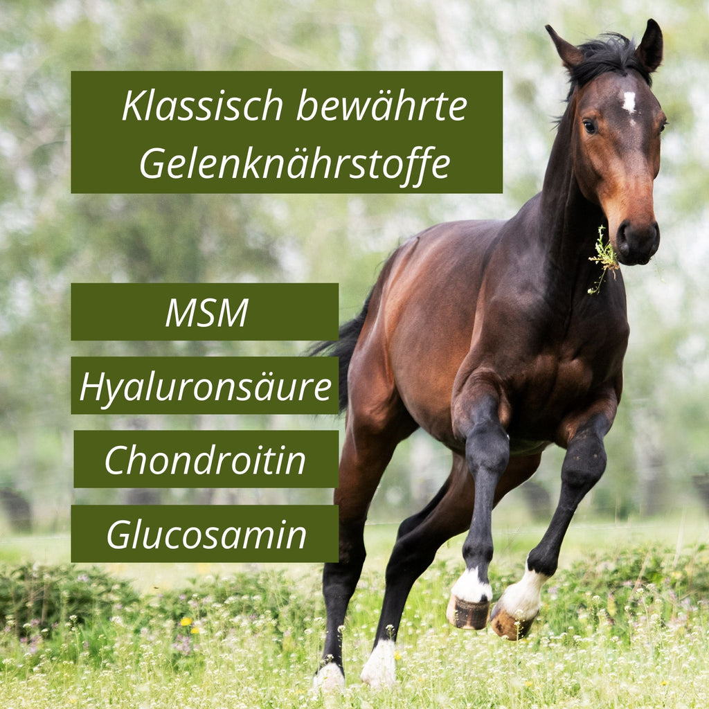 11433 – Bild 20