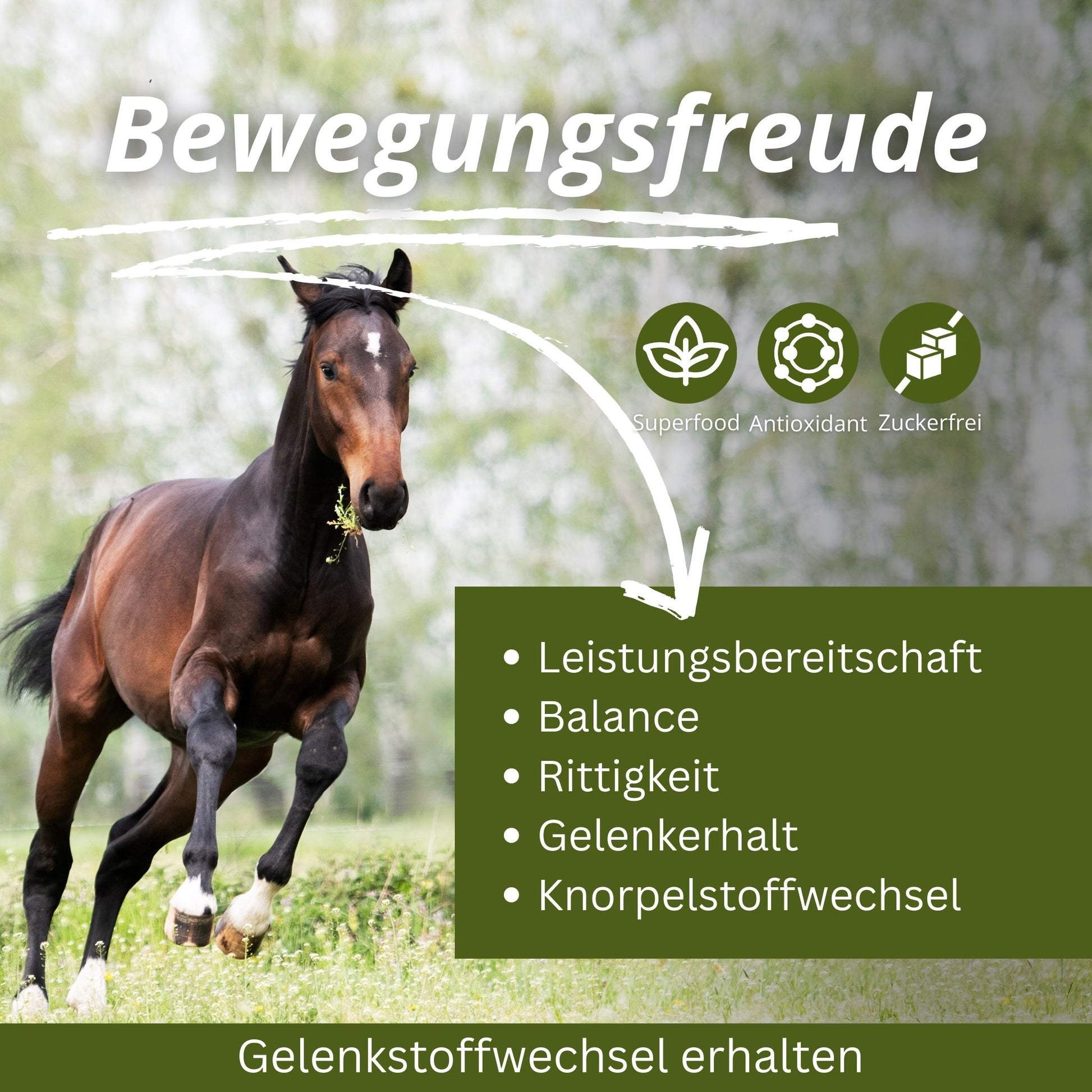 11433 – Bild 40