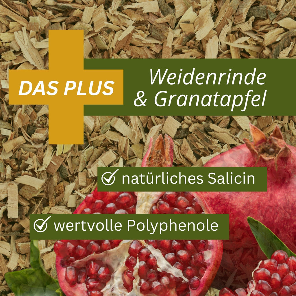 11433 – Bild 50