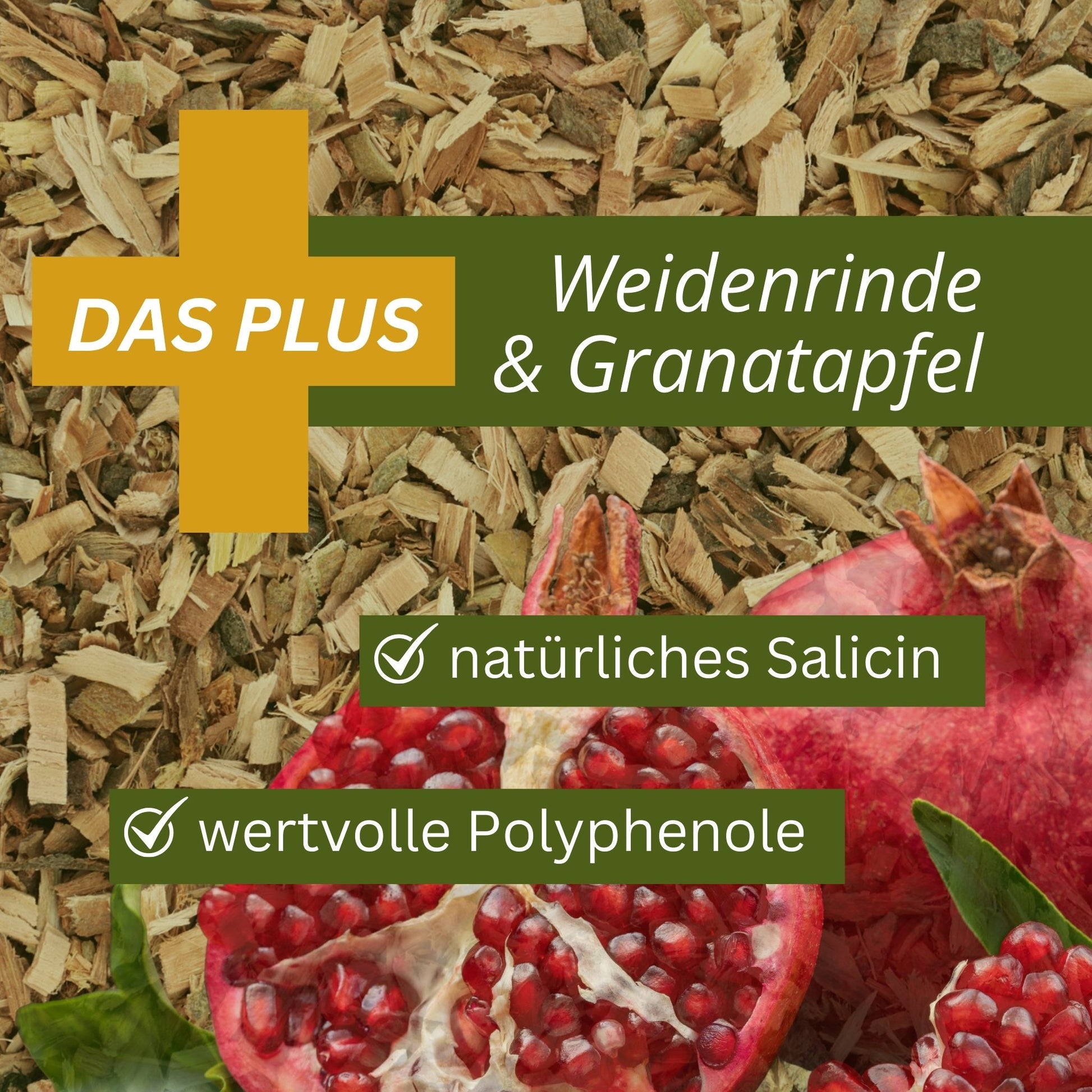 11433 – Bild 50