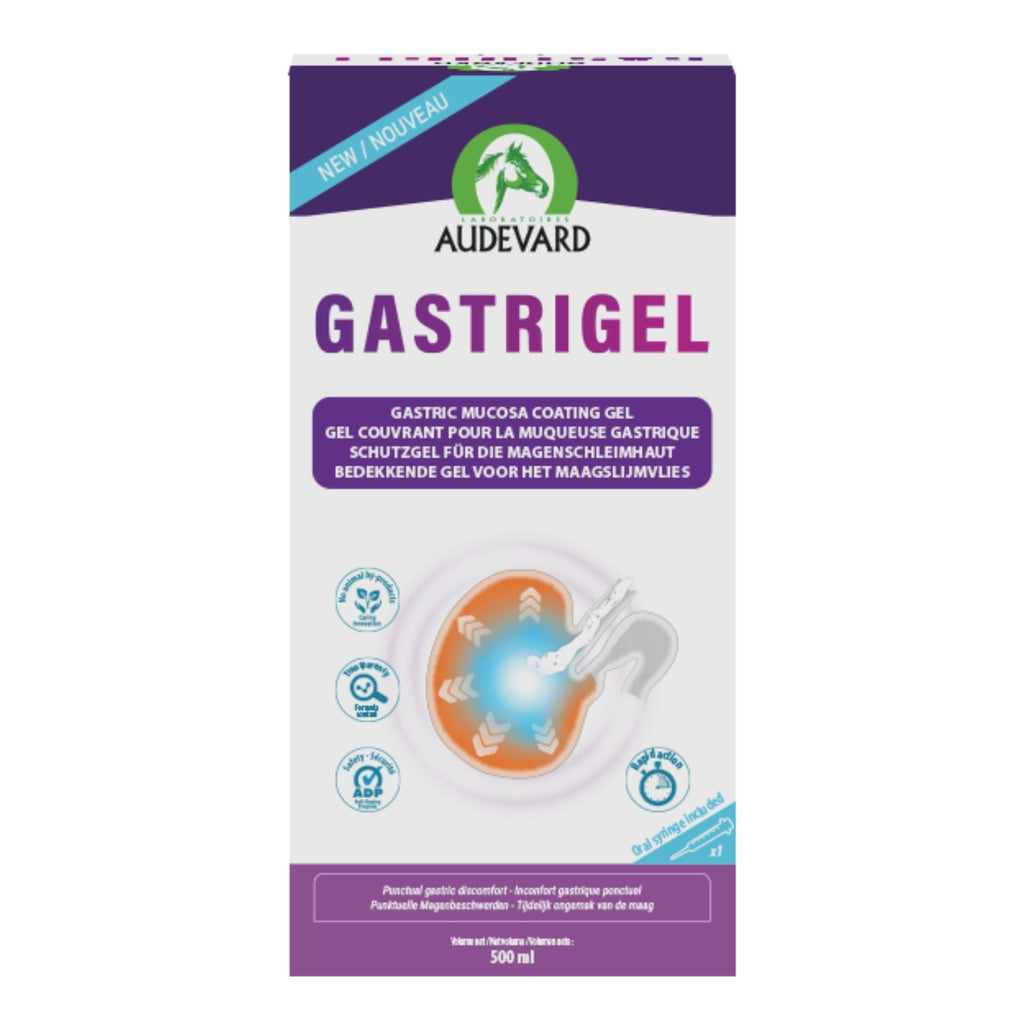11501 – Bild 1
