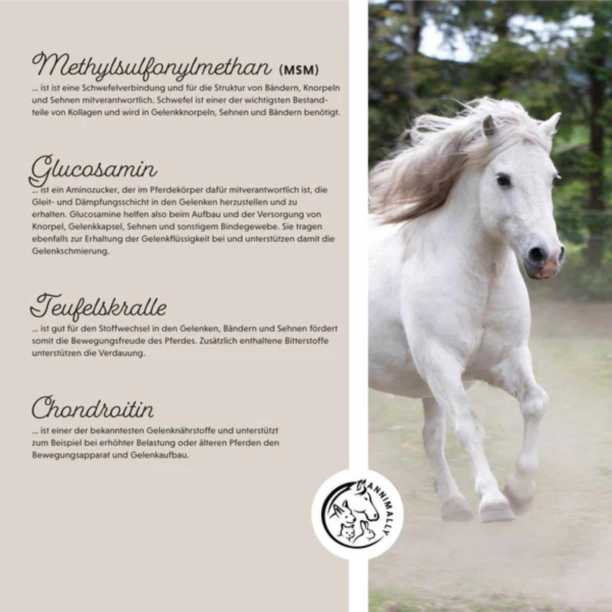 11509 – Bild 1