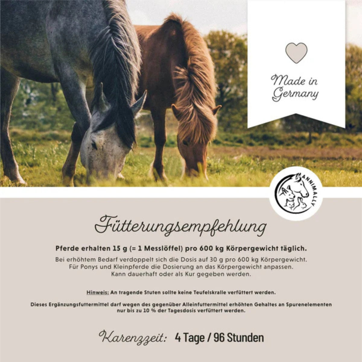 11510 – Bild 3