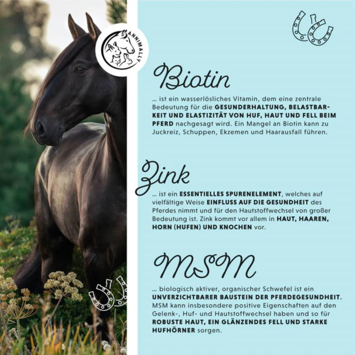 11512 – Bild 1