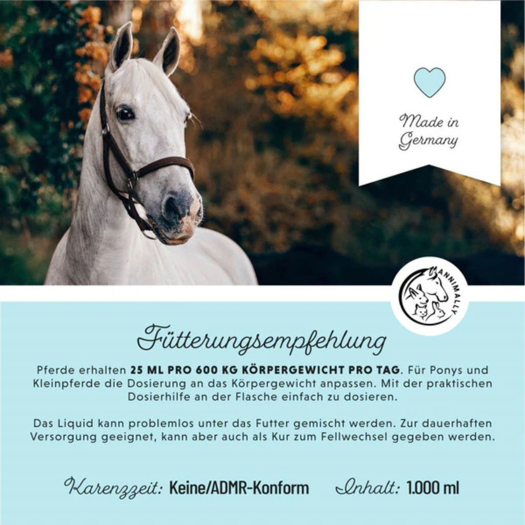11512 – Bild 3