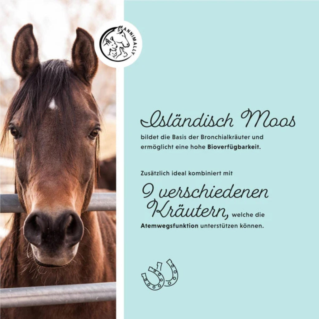 11513 – Bild 1
