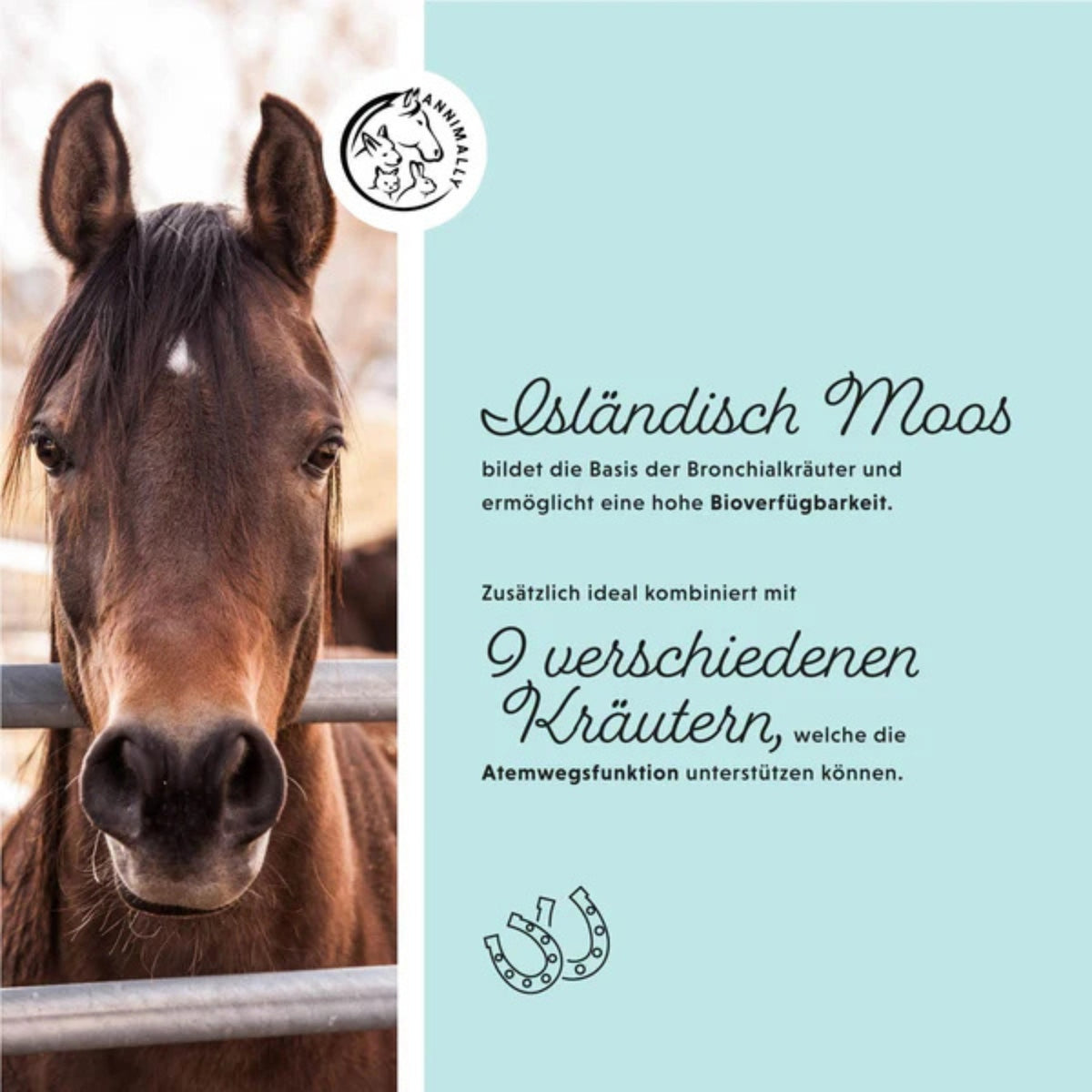 11513 – Bild 1