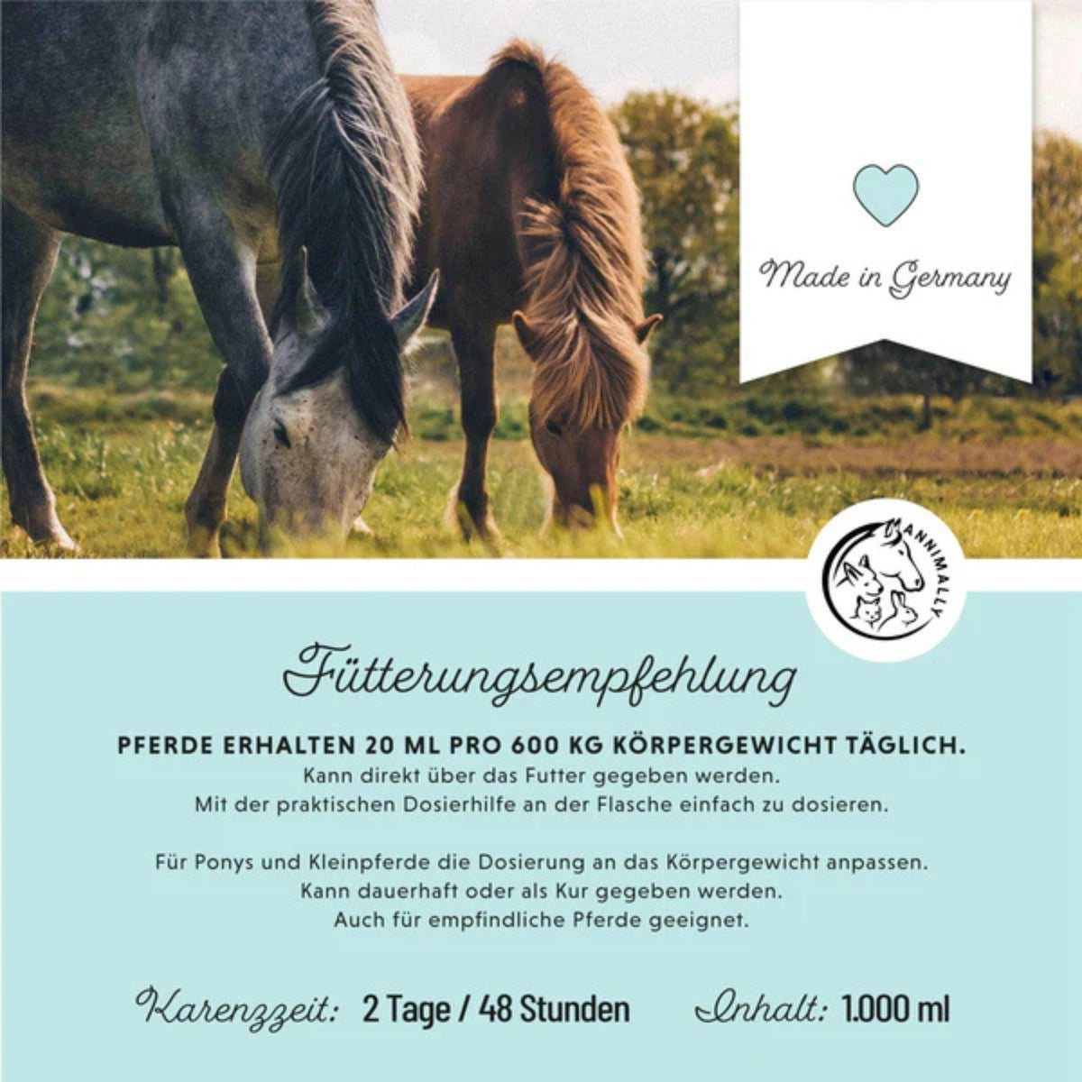 11513 – Bild 3
