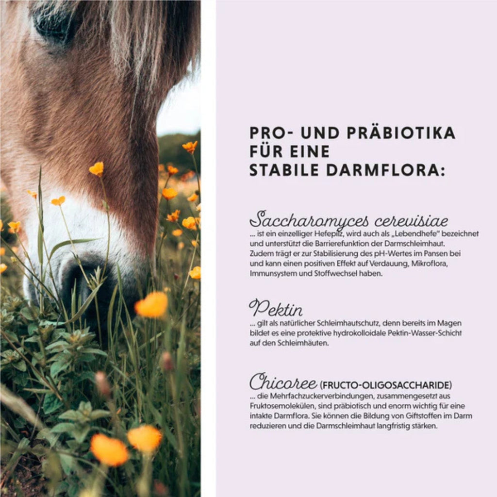 11514 – Bild 1