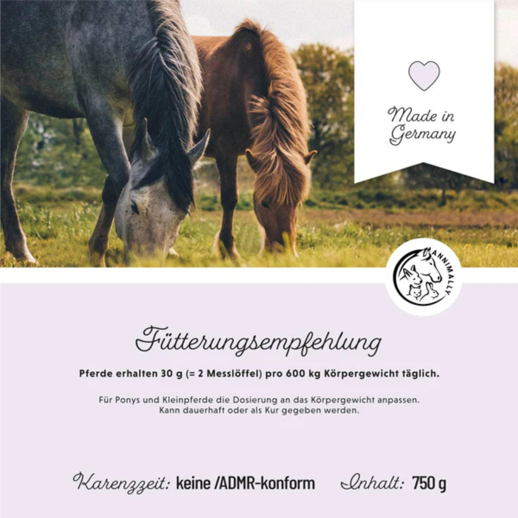 11514 – Bild 3