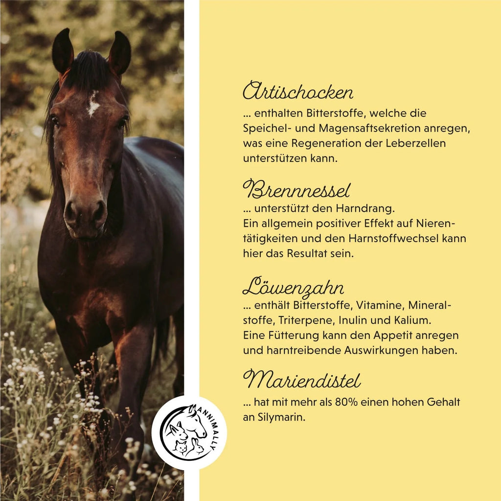 11517 – Bild 1