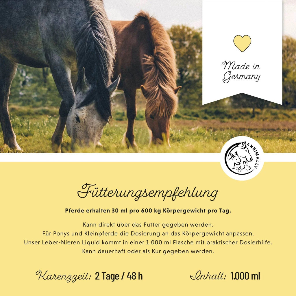 11517 – Bild 2