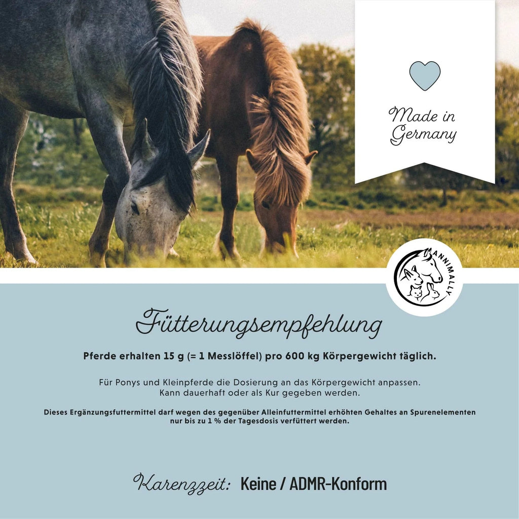 11525 – Bild 3
