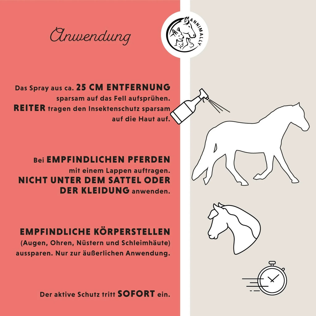 11531 – Bild 2