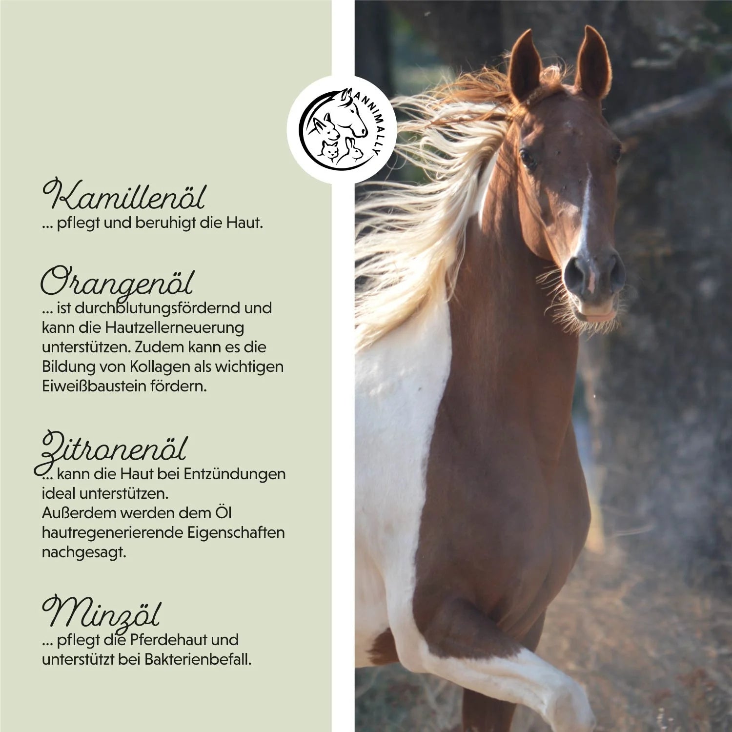 11532 – Bild 1