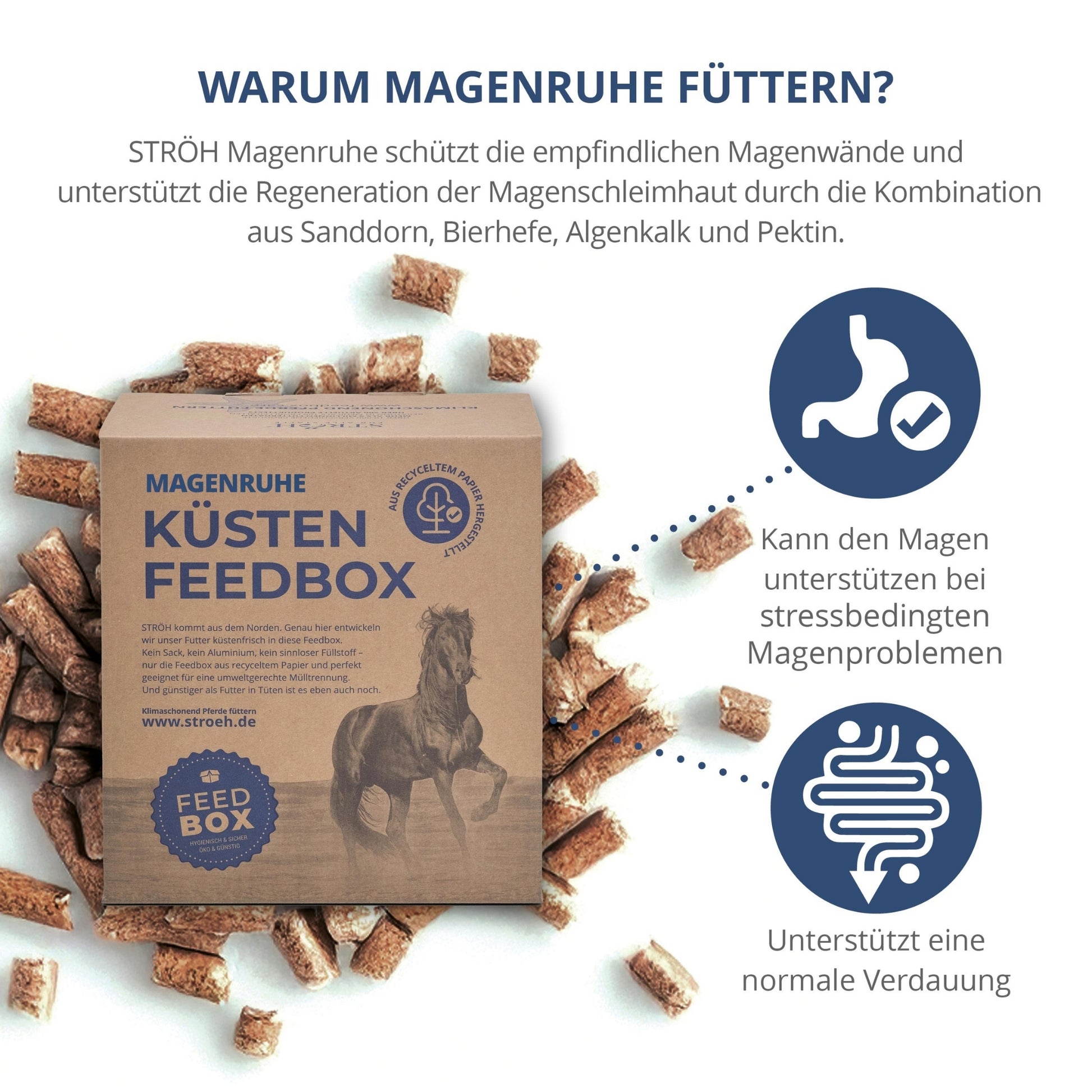 11533 – Bild 1