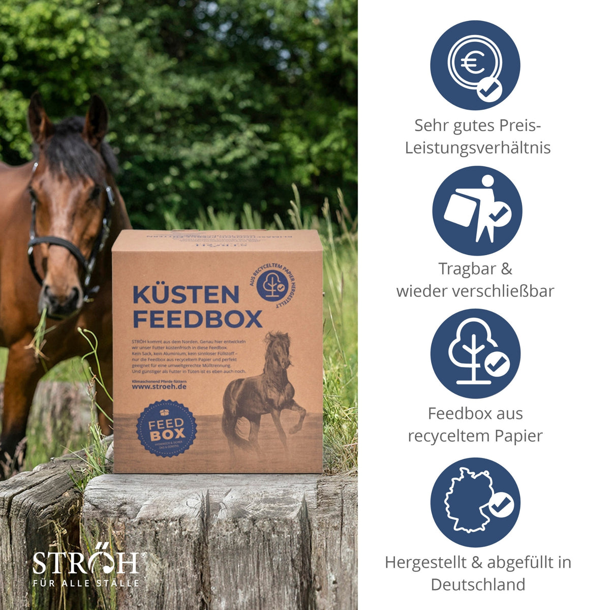 STRÖH Magenruhe für Pferde 5kg Feedbox XXS