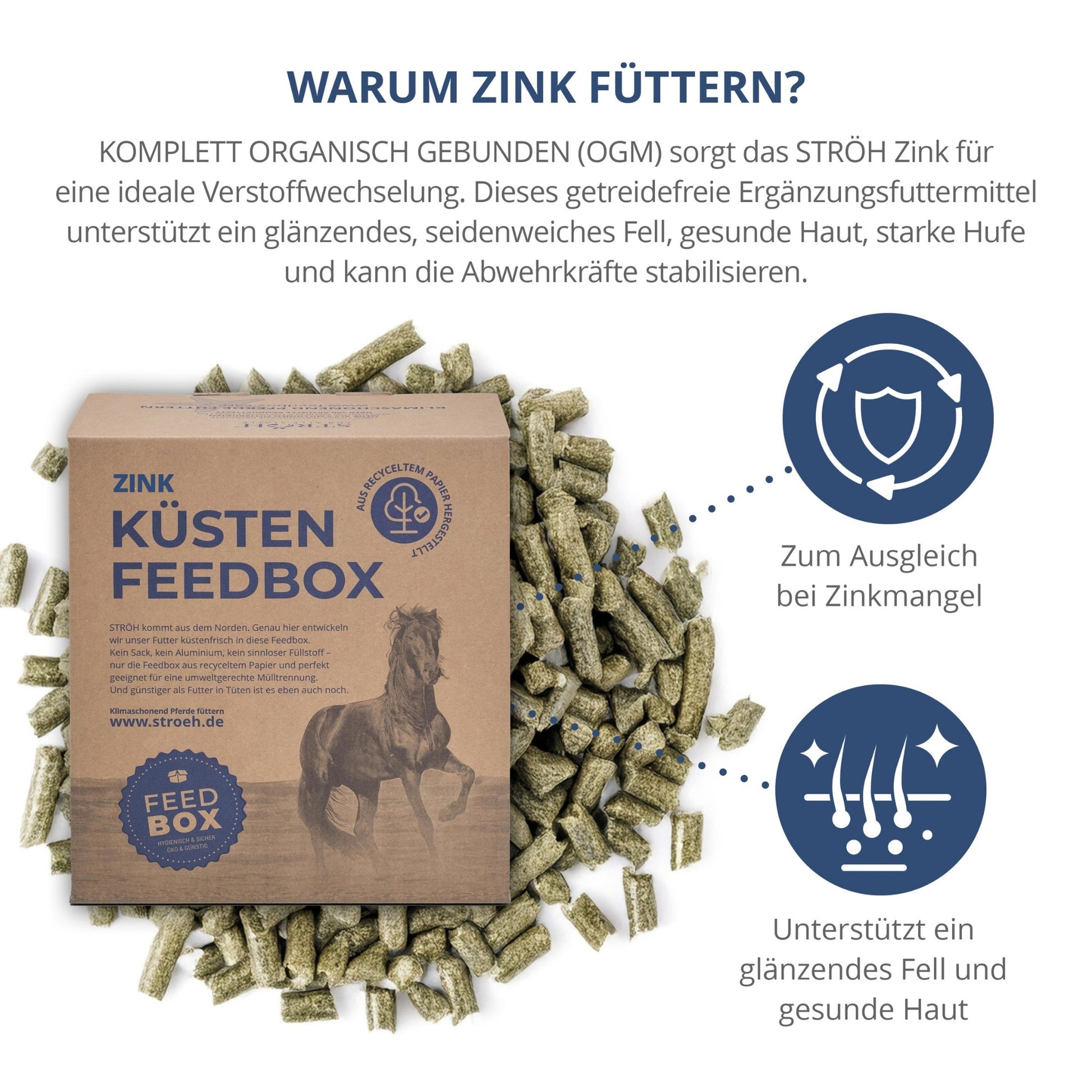 11537-K – Bild 1