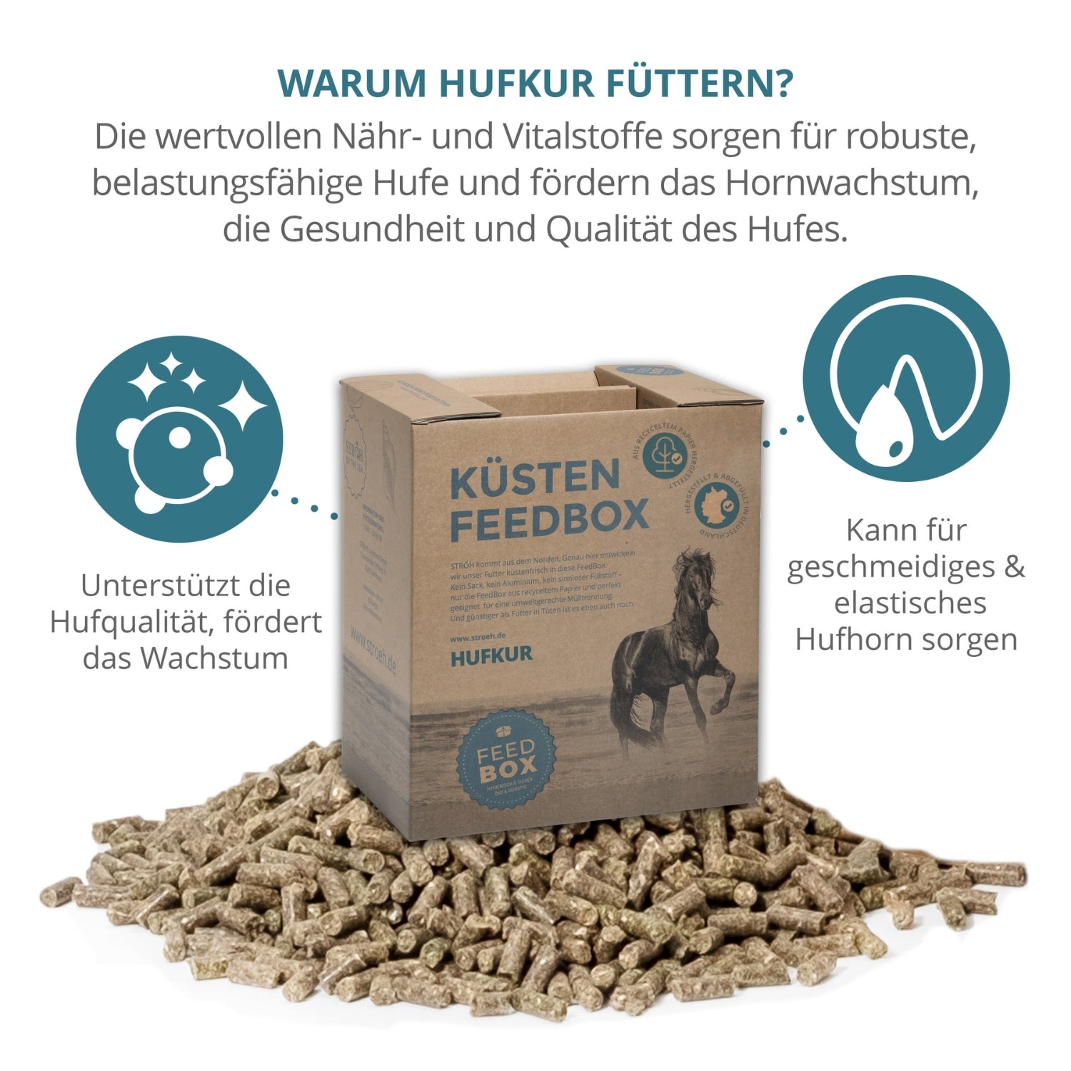 11538 – Bild 1