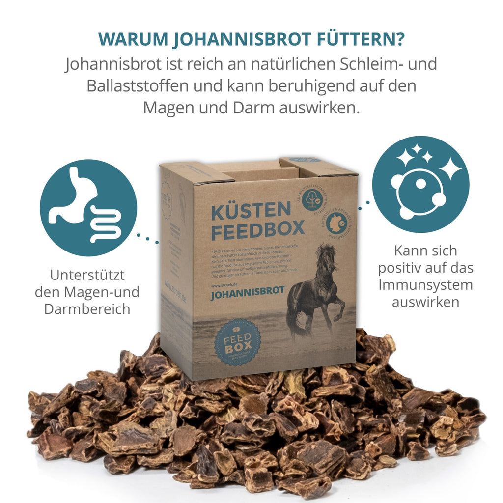 11541 – Bild 1
