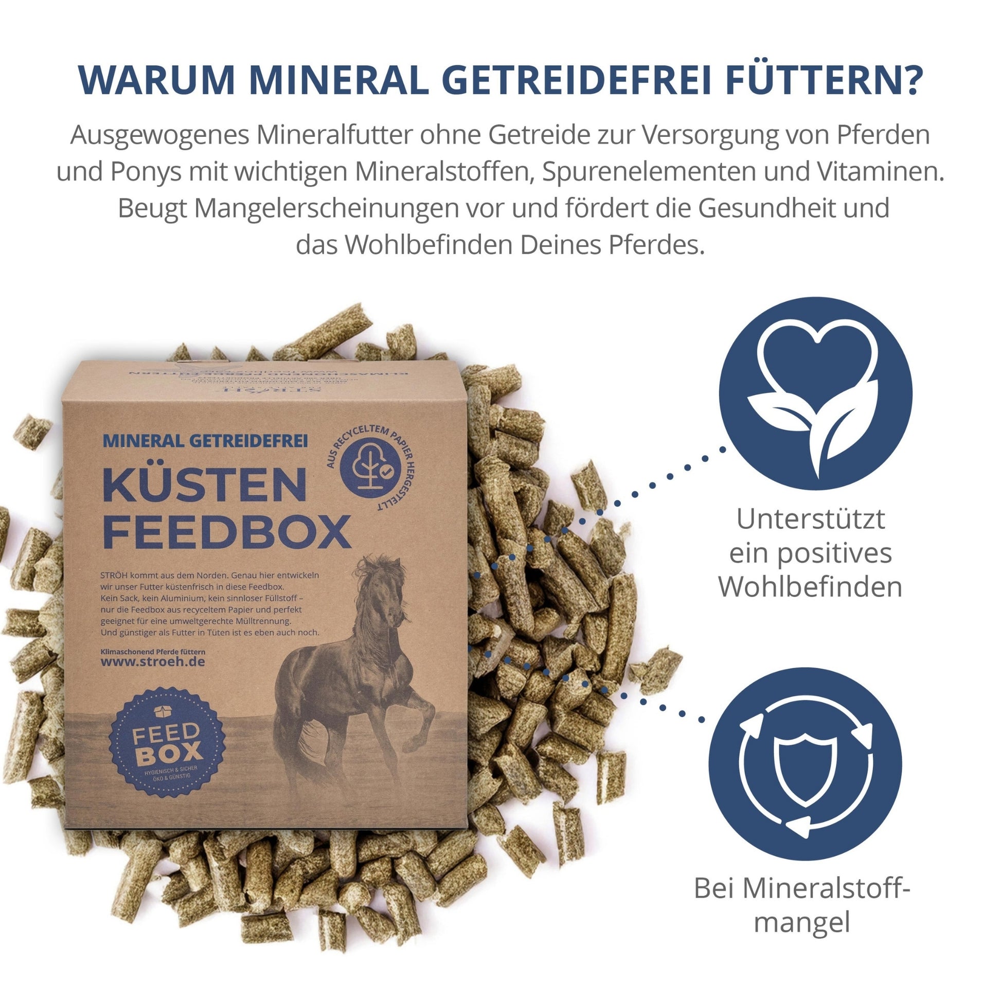 11542 – Bild 1
