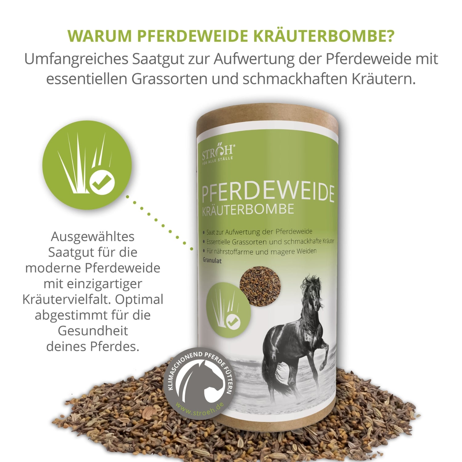 11546 – Bild 1
