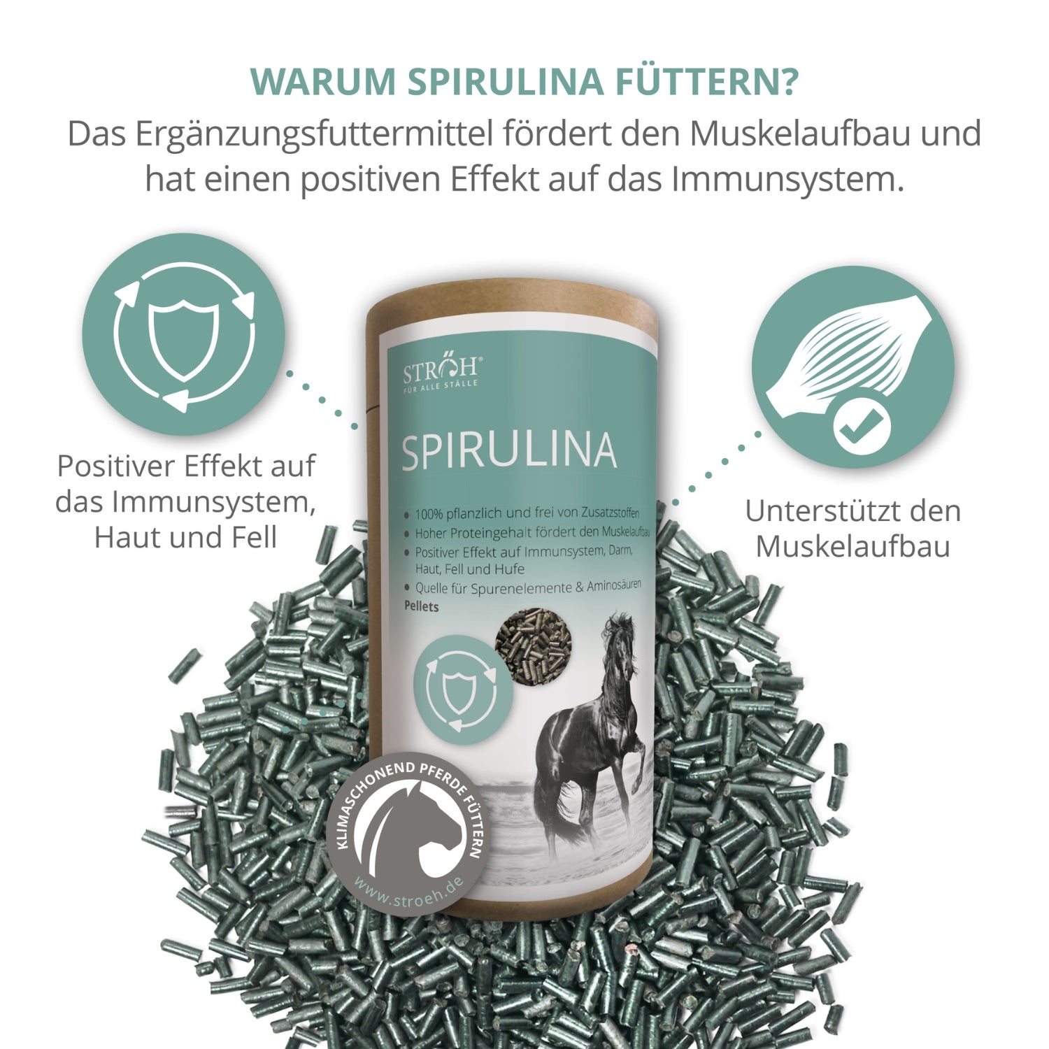 11547 – Bild 1