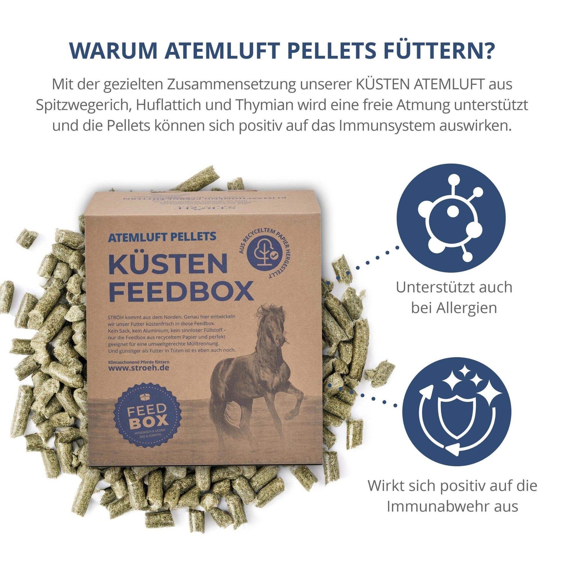 11548 – Bild 1
