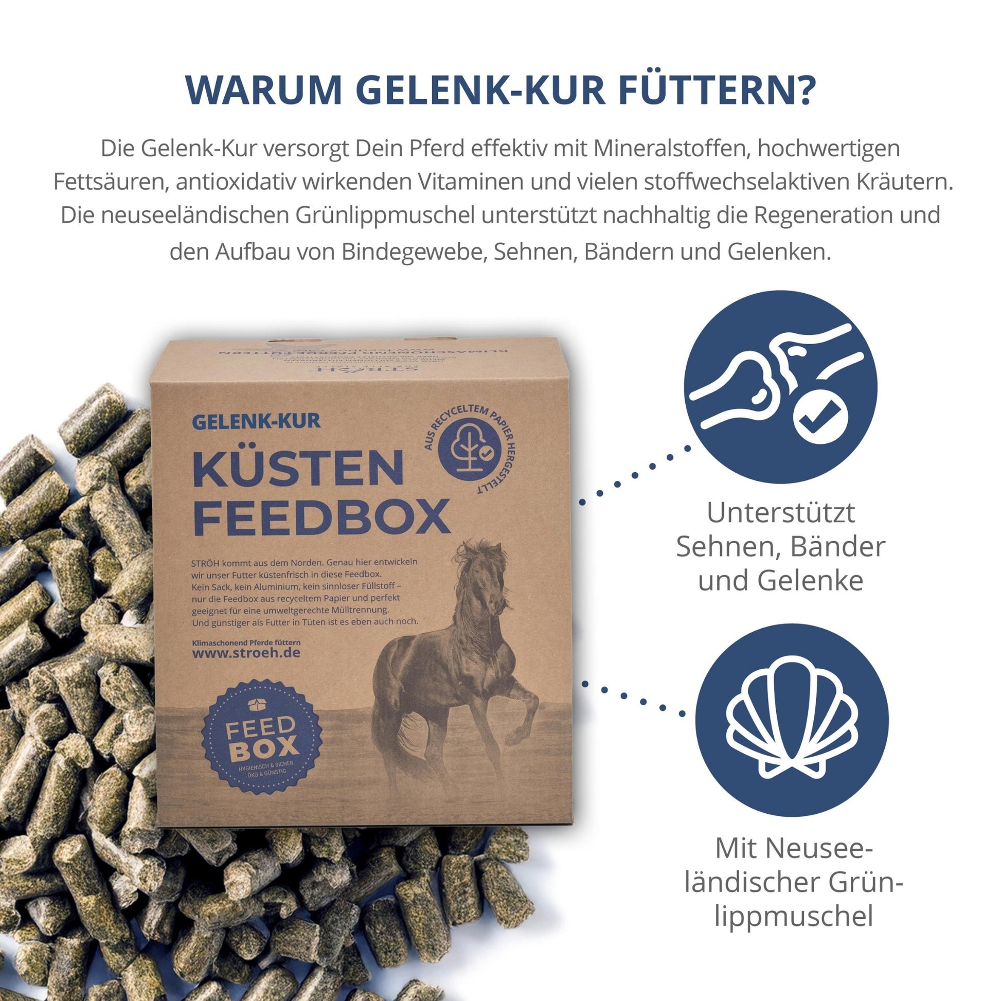 11554 – Bild 1