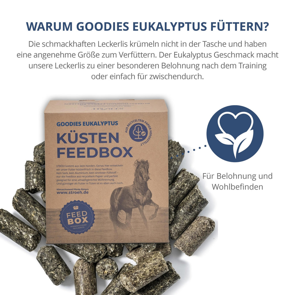11556 – Bild 1