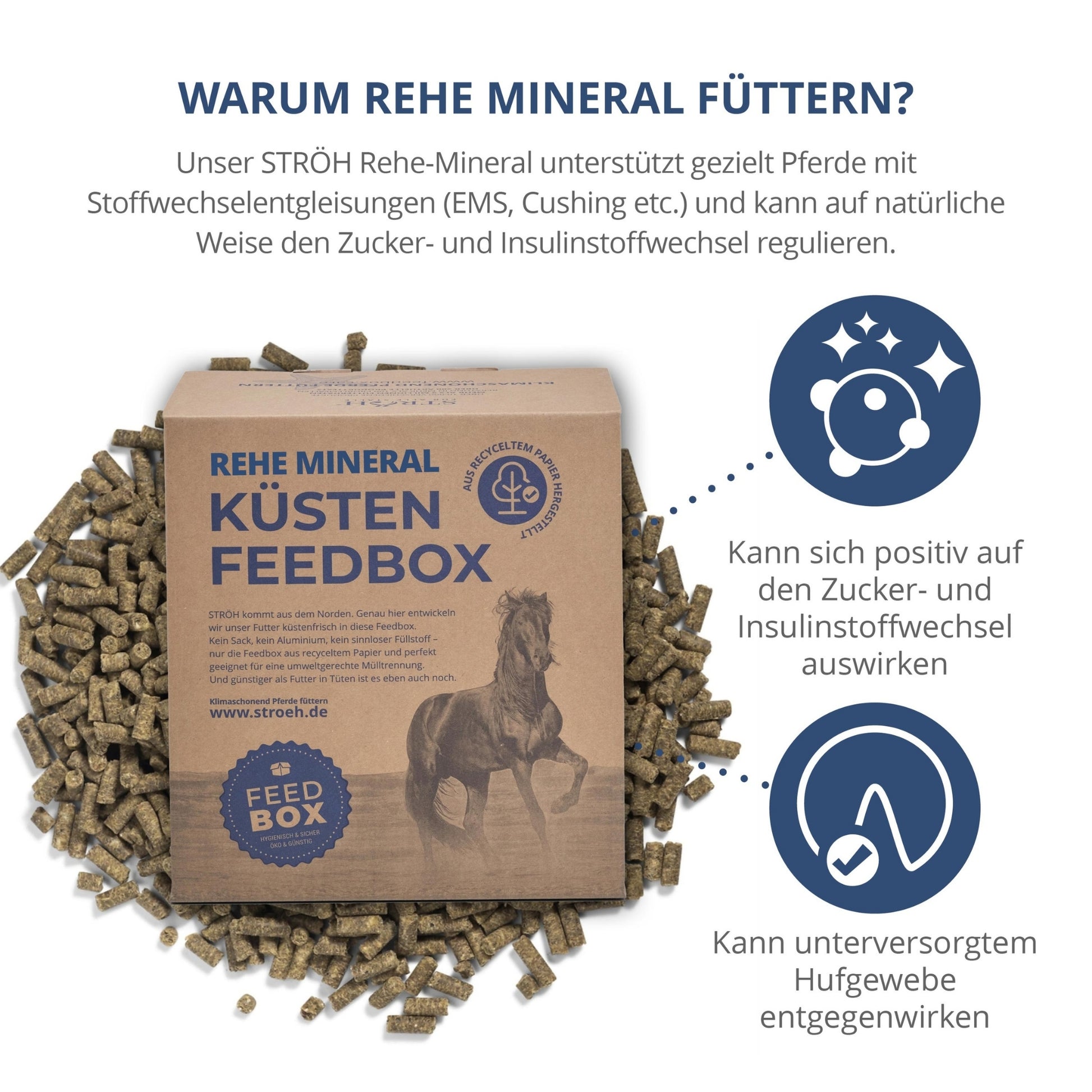 11560 – Bild 1