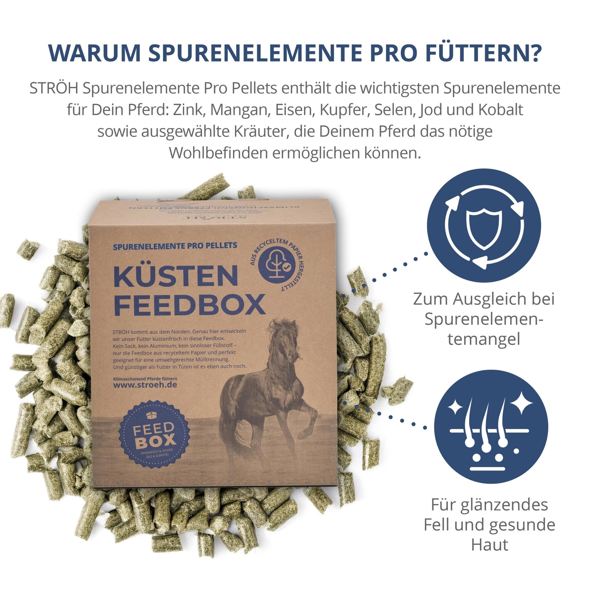 11562 – Bild 1