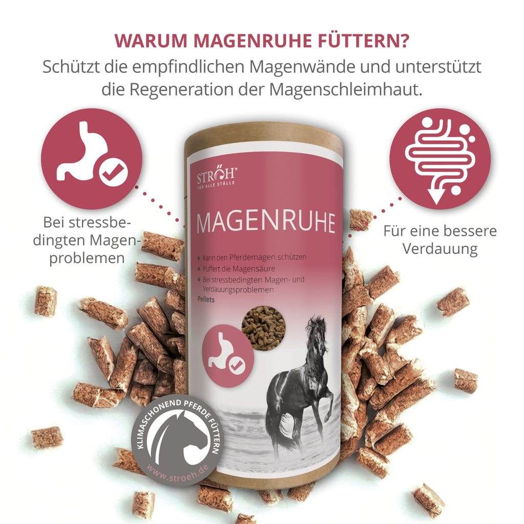 11564 – Bild 1