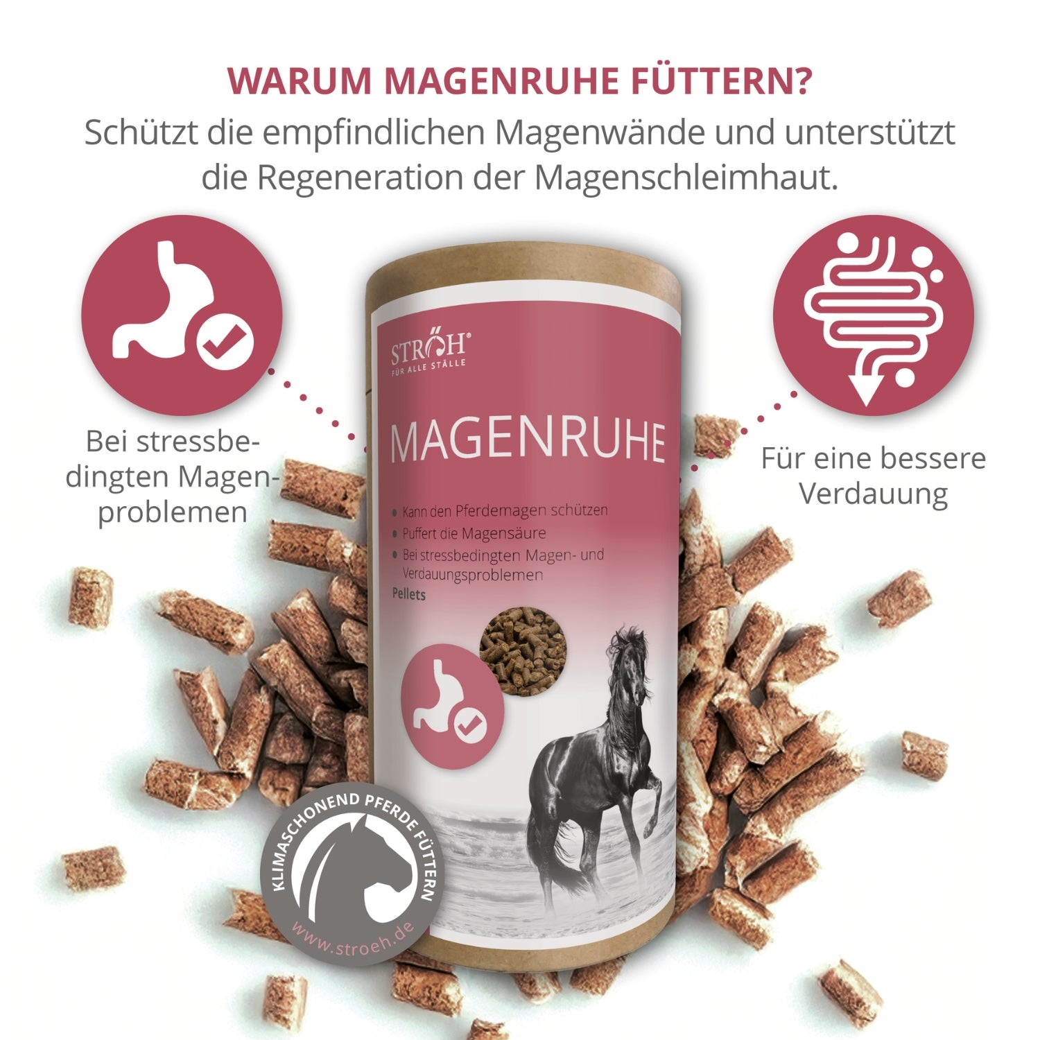 11564 – Bild 1