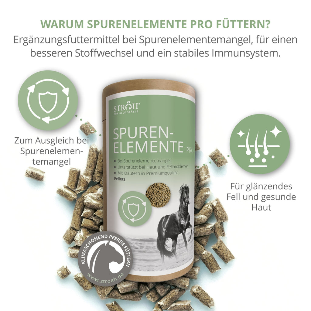 11567 – Bild 1